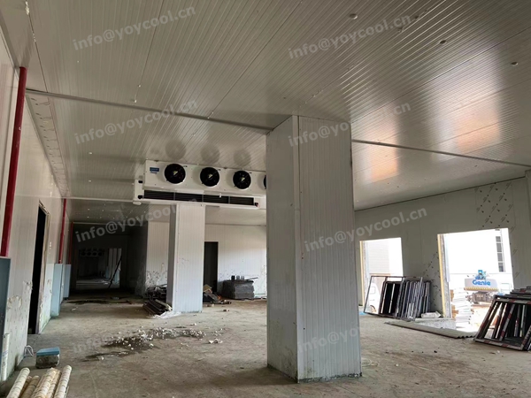 YOYCOOL-Indonesia Deep Freeze Room(5)