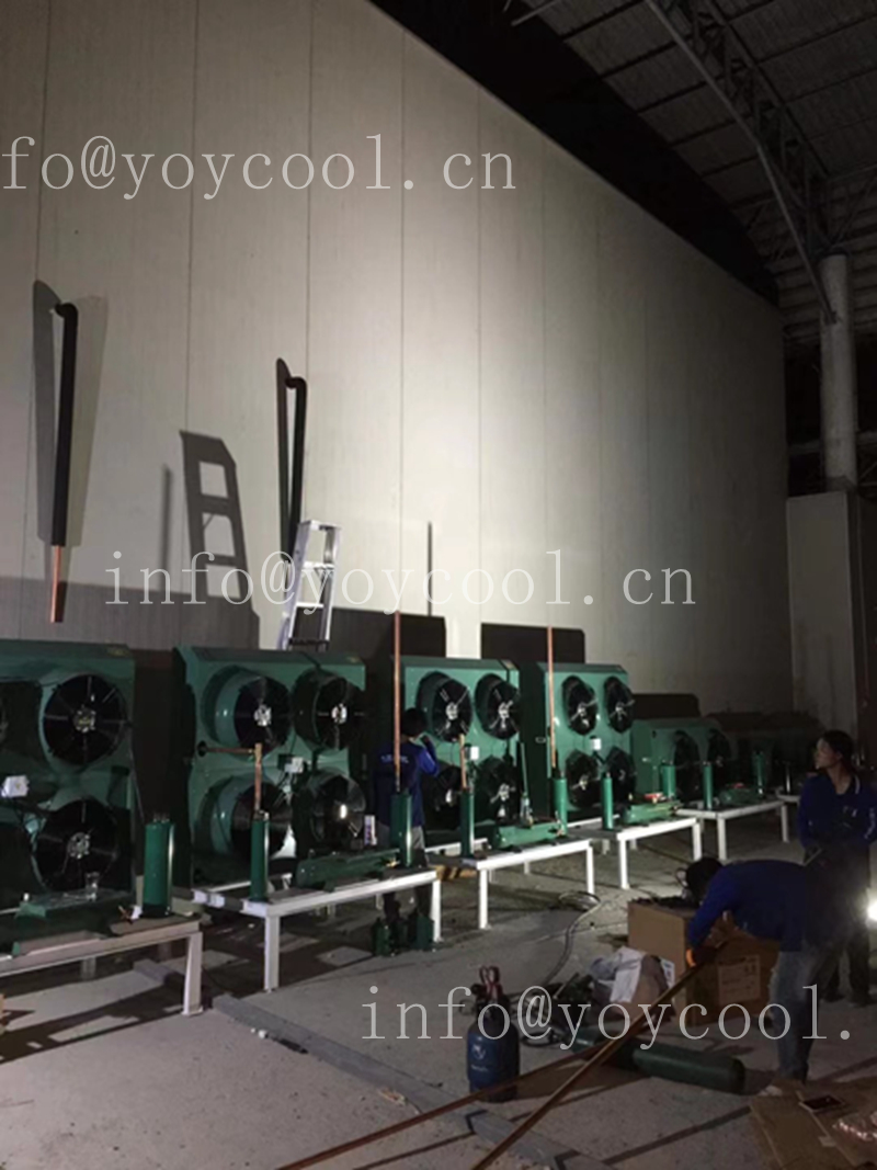 Philippines cold room -6