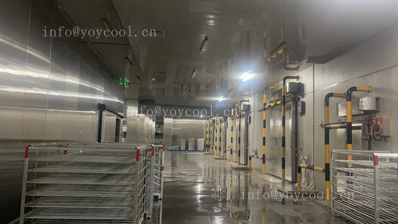 Indonesian seafood processing freezer-1