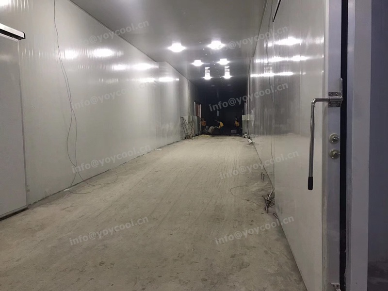 Angola cold room 2-YOYCOOL