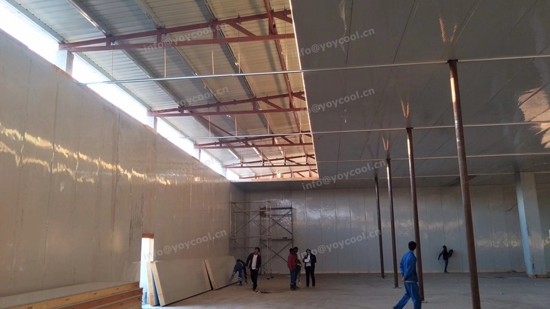 Uganda cold room 3-YOYCOOL