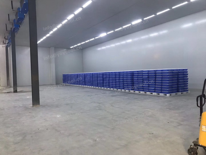 Angola cold room 3-YOYCOOL