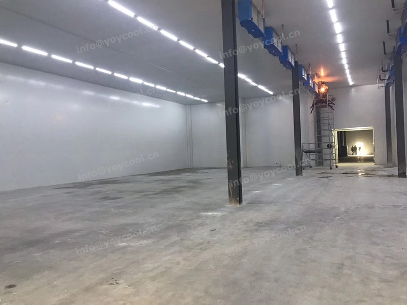 Angola cold room 4-YOYCOOL