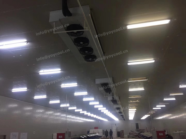 Indonesia cold room from YOYCOOL (2)-1