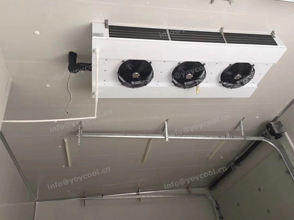 Indonesia cold room from YOYCOOL (3)-1