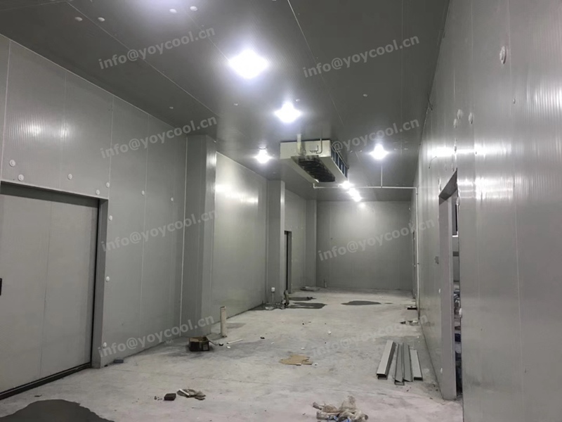 www.yoycool.cn- USA cold room 5