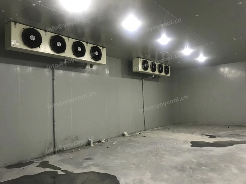 www.yoycool.cn- USA cold room 4
